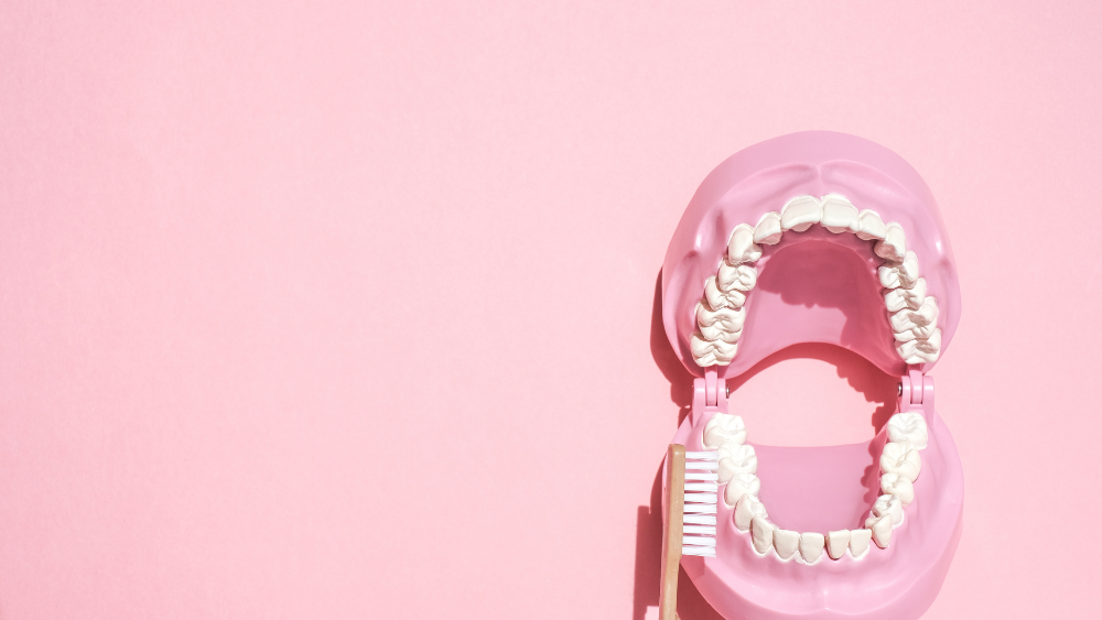 歯磨き 1日何回