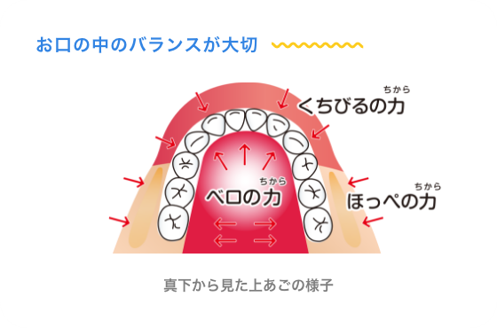 プレオルソの正しい使用方法